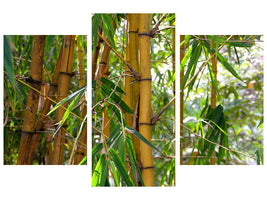 modern-3-piece-canvas-print-wild-bamboo