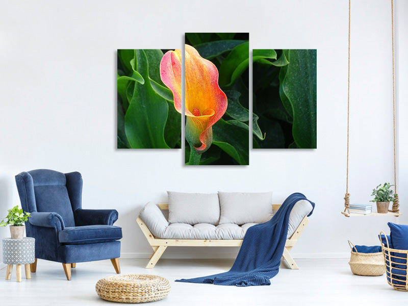 modern-3-piece-canvas-print-wild-calla