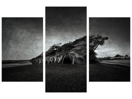 modern-3-piece-canvas-print-wind-blown