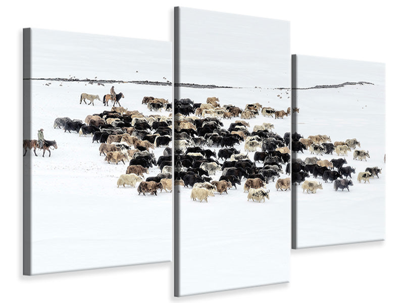 modern-3-piece-canvas-print-yaks-in-snow