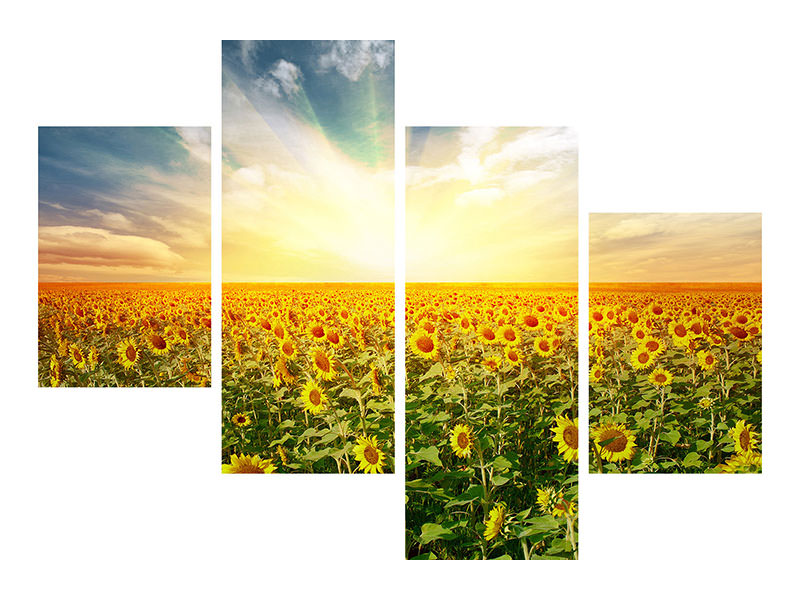 modern-4-piece-canvas-print-a-field-full-of-sunflowers