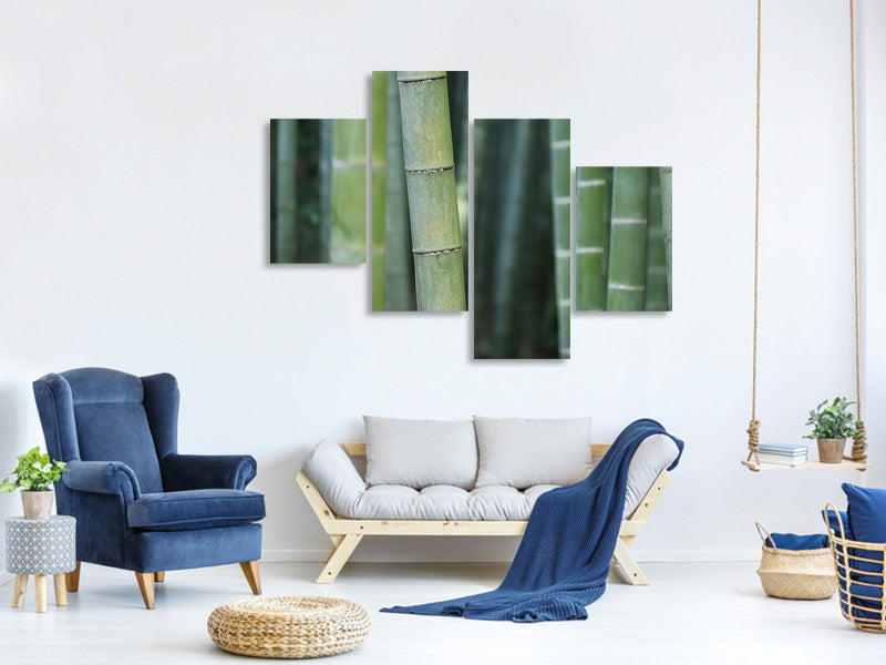 modern-4-piece-canvas-print-bamboo-in-xxl