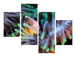 modern-4-piece-canvas-print-clownfish