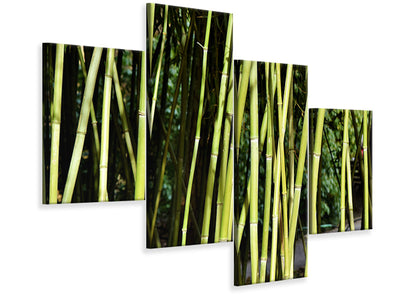 modern-4-piece-canvas-print-fresh-bamboo