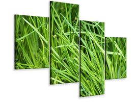 modern-4-piece-canvas-print-fresh-chives-xl