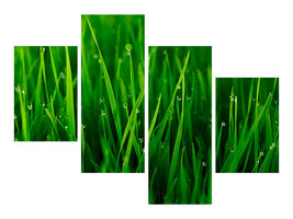 modern-4-piece-canvas-print-grass-with-morning-dew