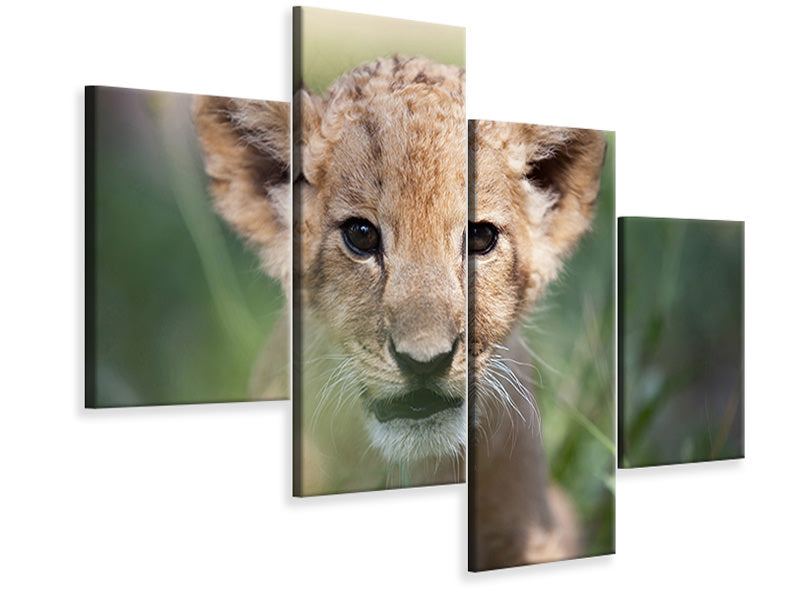 modern-4-piece-canvas-print-lion-baby