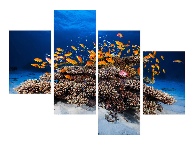 modern-4-piece-canvas-print-marine-life