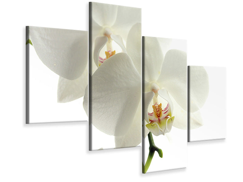 modern-4-piece-canvas-print-orchids-bloom