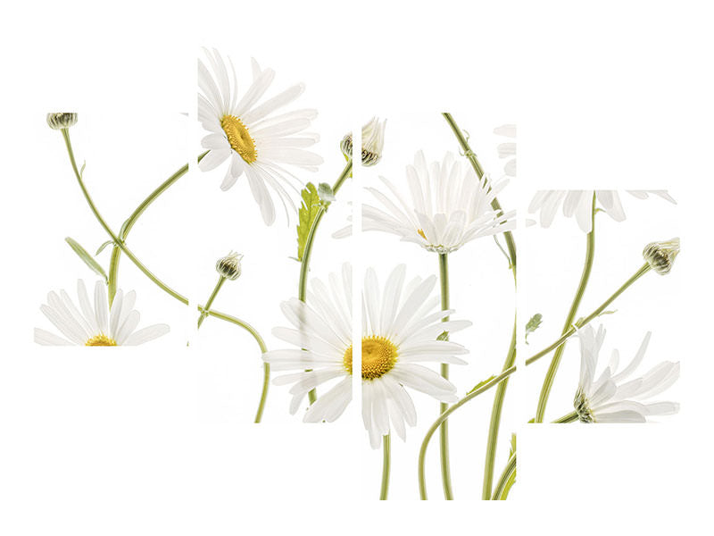 modern-4-piece-canvas-print-ox-eye-daisies