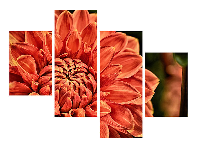 modern-4-piece-canvas-print-painting-of-a-dahlia