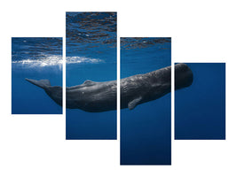 modern-4-piece-canvas-print-sperm-whale