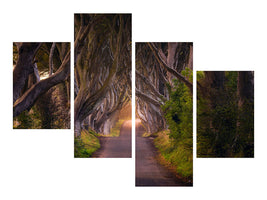 modern-4-piece-canvas-print-the-glowing-hedges