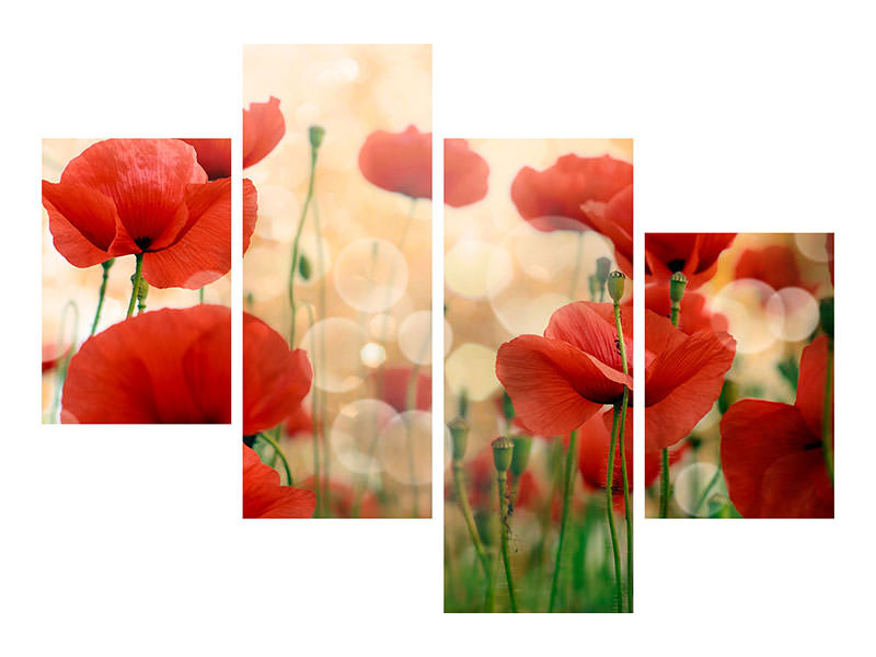 modern-4-piece-canvas-print-the-poppy