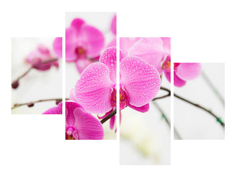 modern-4-piece-canvas-print-the-symbol-of-orchid