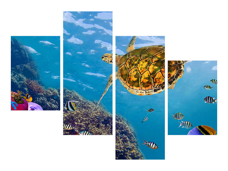 modern-4-piece-canvas-print-the-turtle