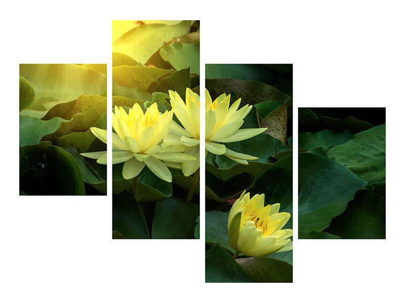 modern-4-piece-canvas-print-wild-lotus