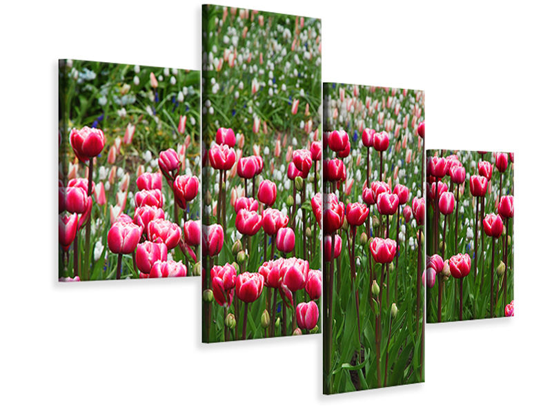 modern-4-piece-canvas-print-wild-tulip-field