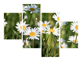 modern-4-piece-canvas-print-xl-daisies