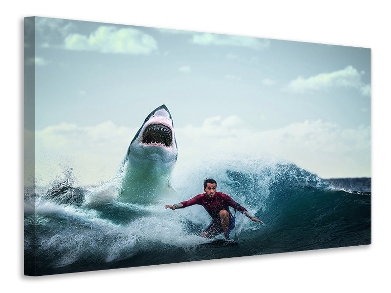 p-canvas-print-attention-shark