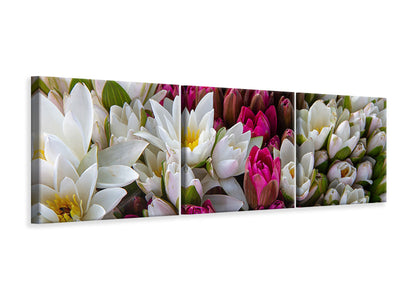 panoramic-3-piece-canvas-print-a-bouquet-of-water-lilies