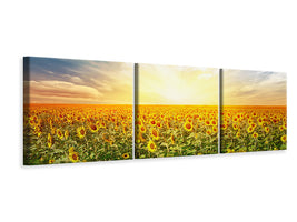 panoramic-3-piece-canvas-print-a-field-full-of-sunflowers