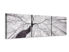 panoramic-3-piece-canvas-print-a-view-of-the-tree-crown