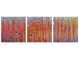 panoramic-3-piece-canvas-print-behind-glass