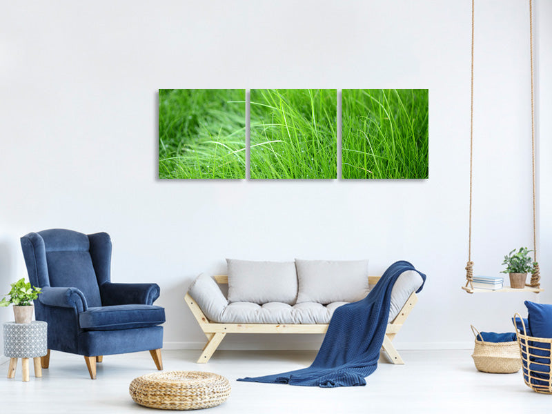 panoramic-3-piece-canvas-print-blades-of-grass