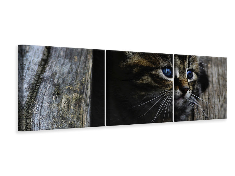 panoramic-3-piece-canvas-print-cats-child