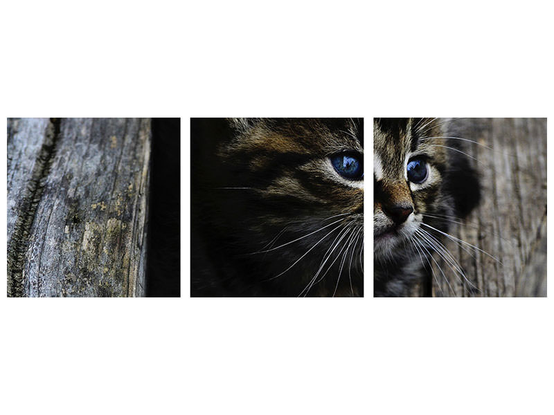 panoramic-3-piece-canvas-print-cats-child