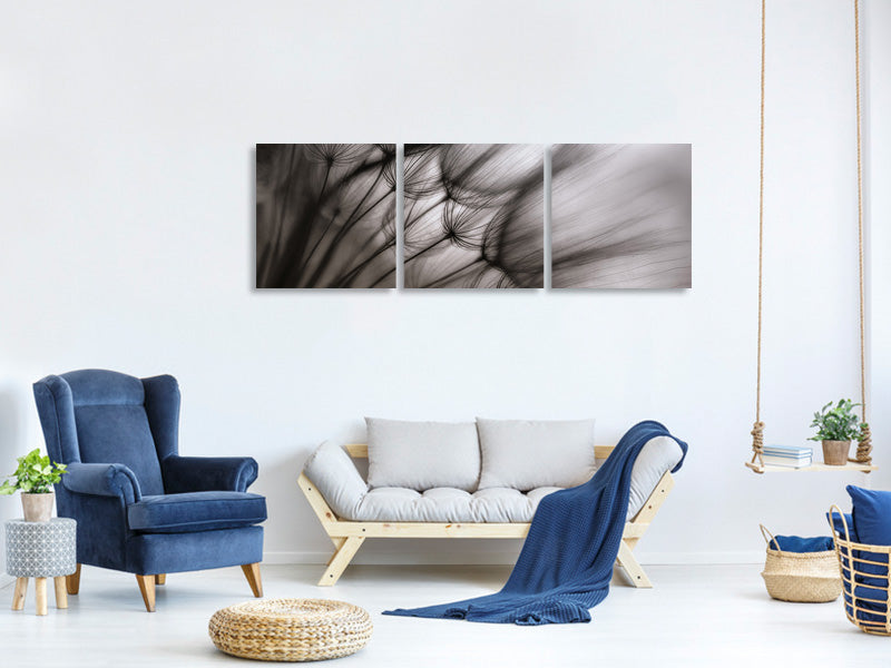 panoramic-3-piece-canvas-print-dandelion-p