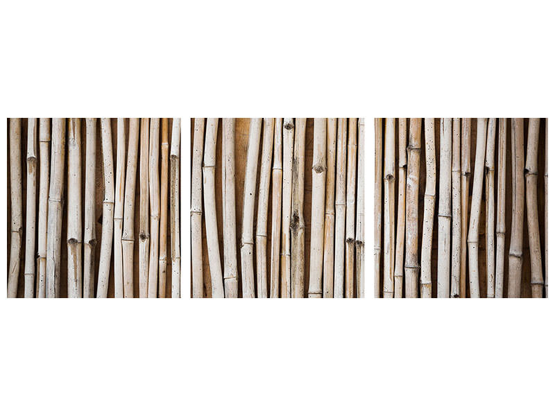 panoramic-3-piece-canvas-print-dried-bamboos