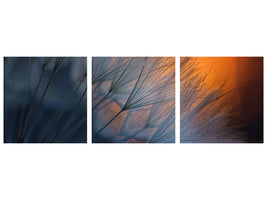 panoramic-3-piece-canvas-print-feathers-p