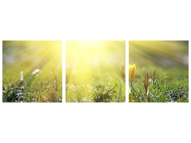 panoramic-3-piece-canvas-print-flowery-meadow