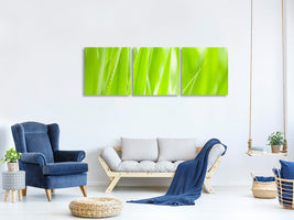 panoramic-3-piece-canvas-print-grass-xxl