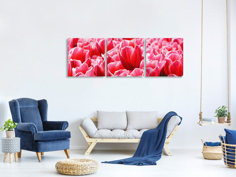 panoramic-3-piece-canvas-print-happy-tulip-field