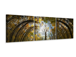 panoramic-3-piece-canvas-print-her-majesty