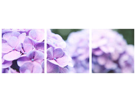 panoramic-3-piece-canvas-print-hydrangeas