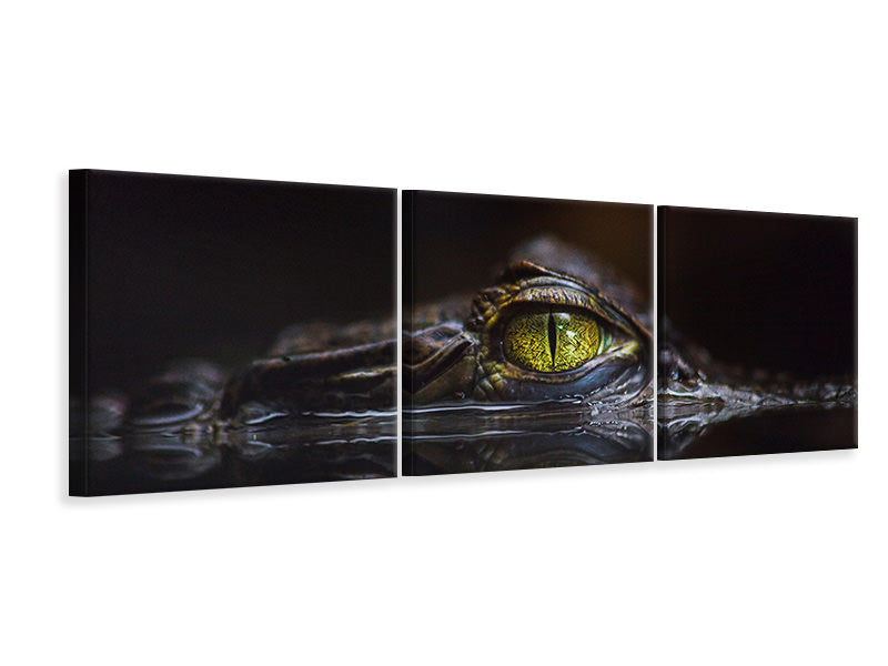 panoramic-3-piece-canvas-print-hypnotic