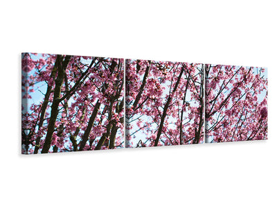 panoramic-3-piece-canvas-print-japanese-cherry-blossom