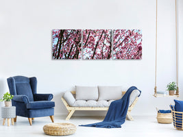 panoramic-3-piece-canvas-print-japanese-cherry-blossom