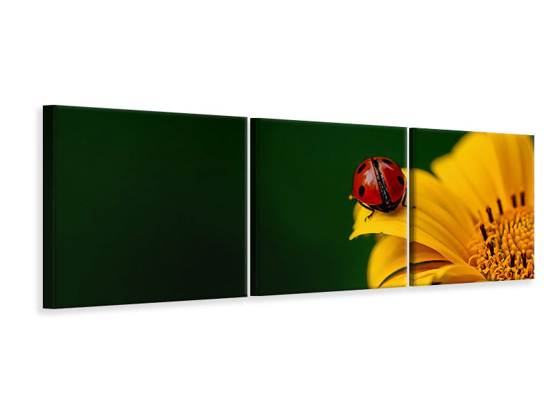 panoramic-3-piece-canvas-print-ladybug-on-the-sunflower