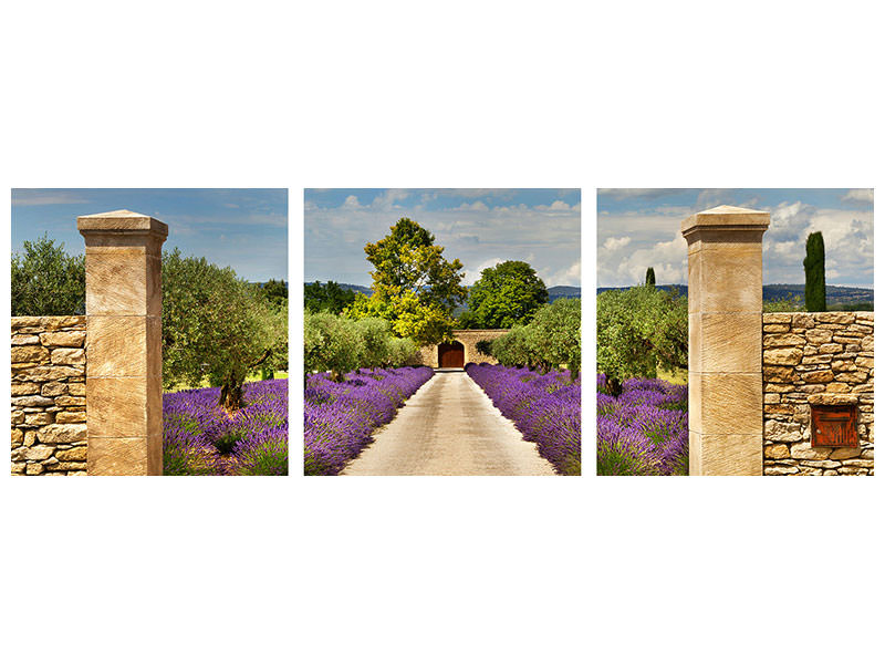 panoramic-3-piece-canvas-print-lavender-garden