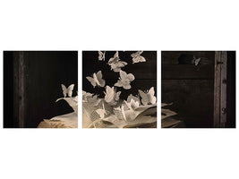 panoramic-3-piece-canvas-print-lepidopterology