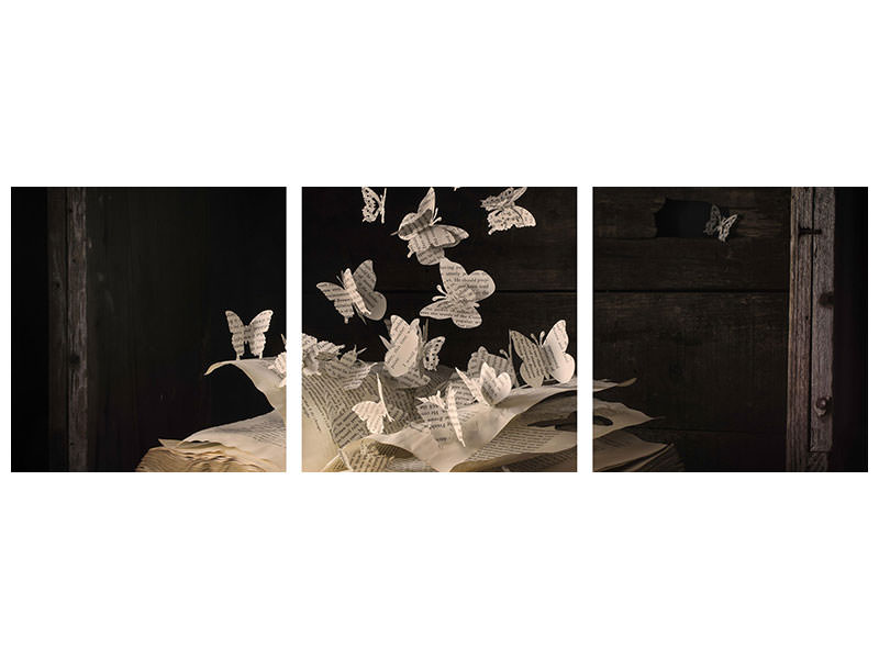 panoramic-3-piece-canvas-print-lepidopterology