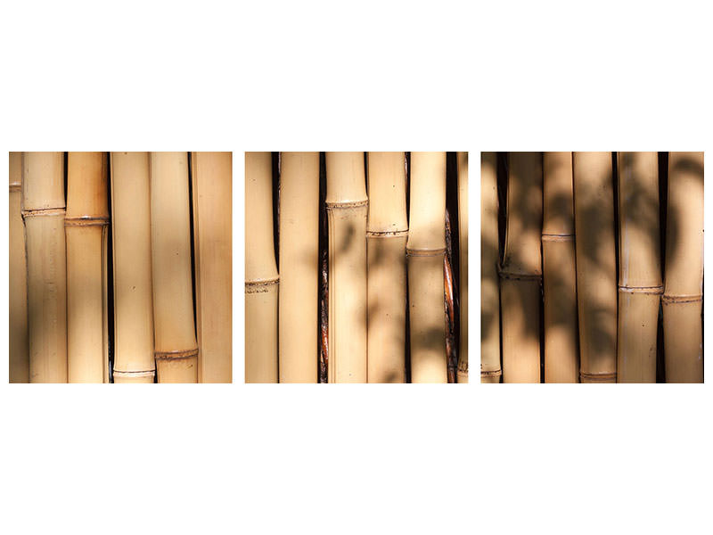 panoramic-3-piece-canvas-print-natural-bamboo