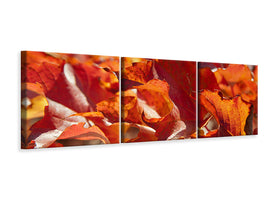 panoramic-3-piece-canvas-print-nice-autumn-leaves