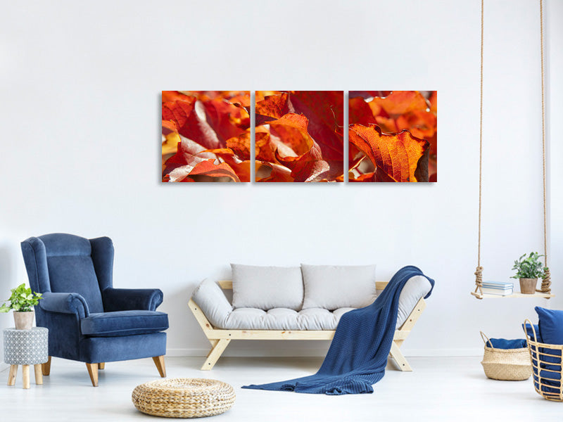 panoramic-3-piece-canvas-print-nice-autumn-leaves