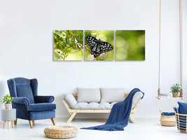 panoramic-3-piece-canvas-print-papilio-butterfly-xxl